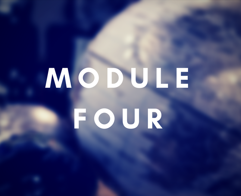 Module four, you will learn to build your audience tribe like a pro